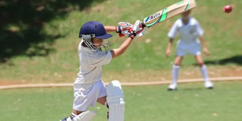 basics of cricket
