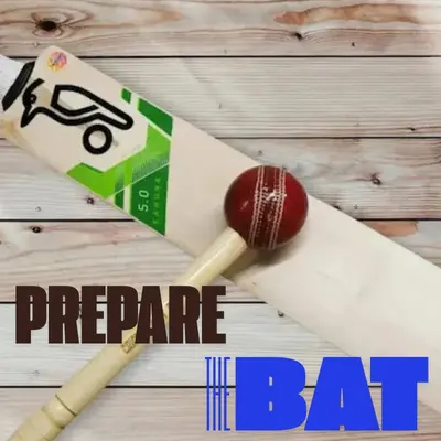 knocking the cricket bat