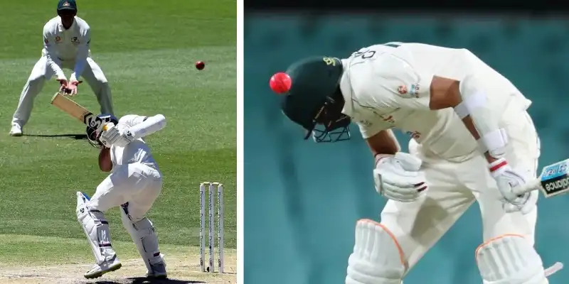 bouncer in cricket
