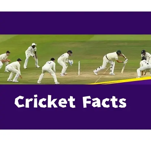 56 Intersting Cricket Facts | You Might not Know About - Post Thumbnail