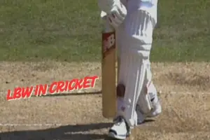 How Umpires Decide LBW in Cricket | The Hidden Science Behind the Finger Raise - Post Thumbnail