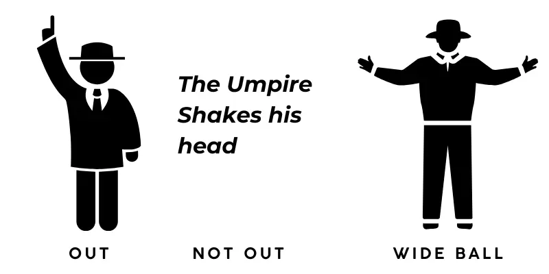 cricket umpire signal graphic