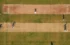 Types Of Cricket Pitches – The Cricketers Have To Deal With!