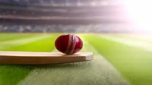 cricket ball on bat